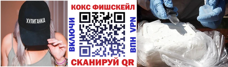 Cocaine Fish Scale Гаврилов-Ям