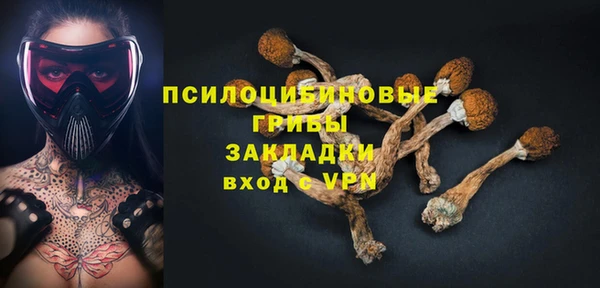 прущие грибы Карпинск