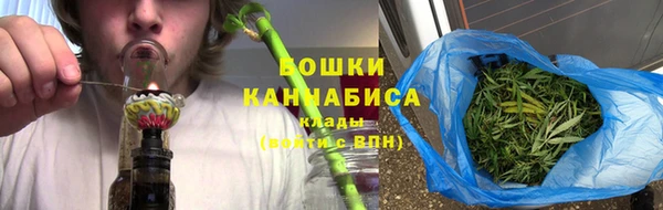 прущие грибы Карпинск