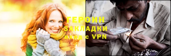 прущие грибы Карпинск