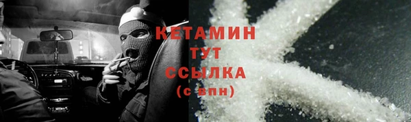 прущие грибы Карпинск
