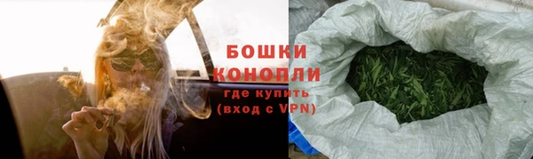 прущие грибы Карпинск