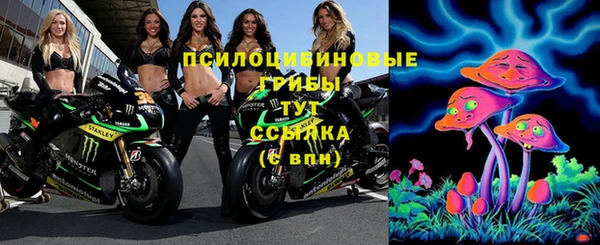 прущие грибы Карпинск