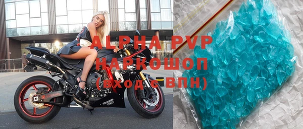прущие грибы Карпинск