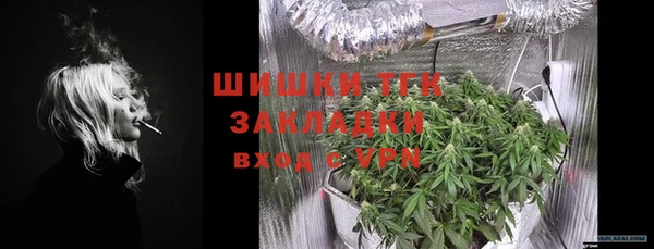 прущие грибы Карпинск