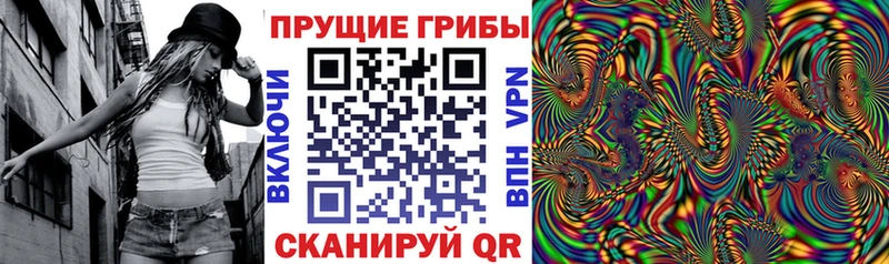 Купить  Гаврилов-Ям  Псилоцибиновые грибы GOLDEN TEACHER 
