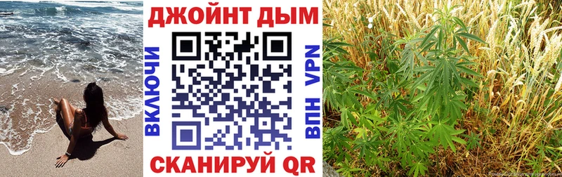 Бошки Шишки семена  Купить  Гаврилов-Ям 